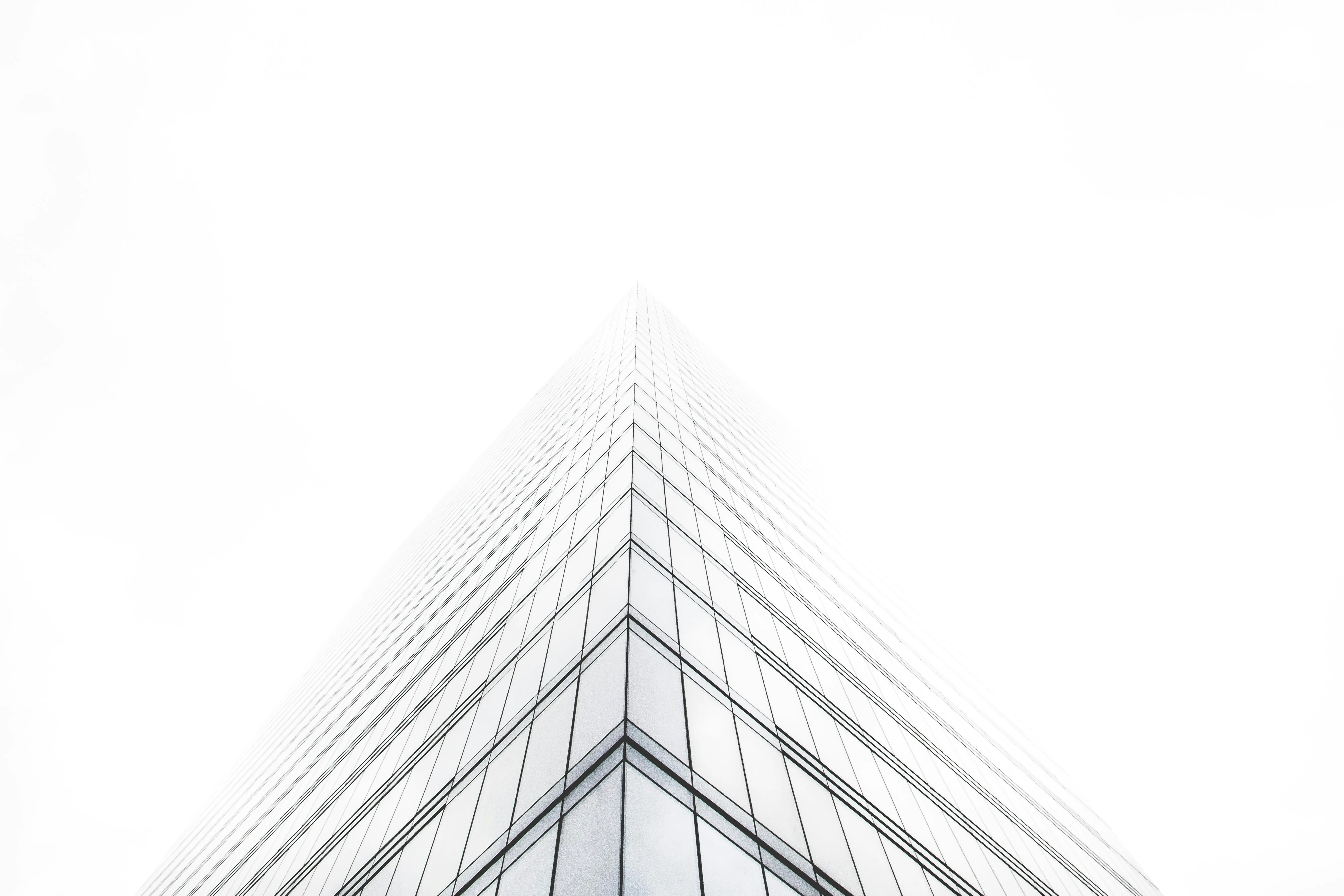 Structural steel framework during construction